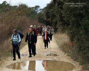 Domessargues005.jpg