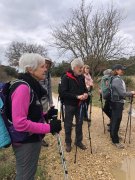 Domessargues014.jpg