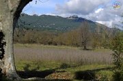 Triadou019.jpg