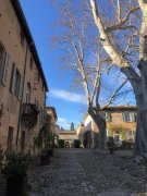 Moureze038.jpg