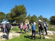 Montagnac012.jpg