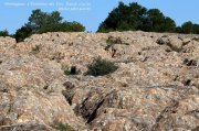 Montagnac013A.jpg