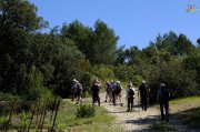 St_Sylvestre006.jpg