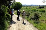 St_Sylvestre020.jpg