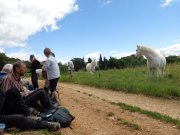 Pondres006.jpg