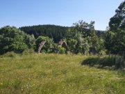Camprieu012.jpg
