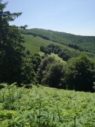 Camprieu025.jpg
