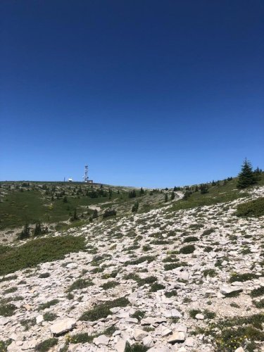 Cliquer pour voir l'image en taille réelle