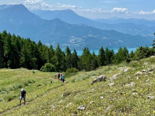Cliquer pour voir l'image en taille réelle