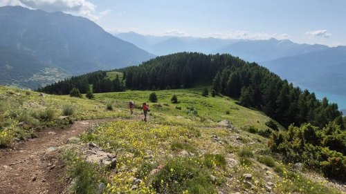 Cliquer pour voir l'image en taille réelle