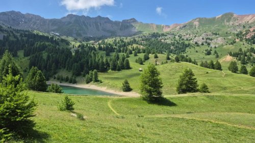 Cliquer pour voir l'image en taille réelle