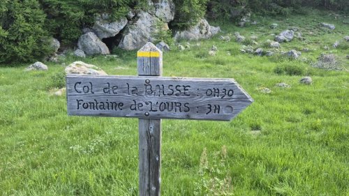 Cliquer pour voir l'image en taille réelle