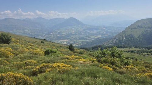 Cliquer pour voir l'image en taille réelle