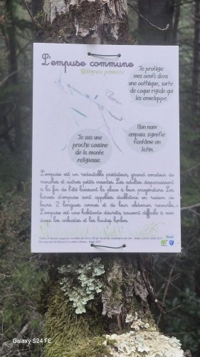 Cliquer pour voir l'image en taille réelle