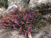 Colombieres038.jpg