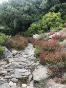 Colombieres040.jpg