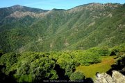 Col_du_Pas004.jpg