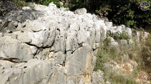 Cliquer pour voir l'image en taille réelle