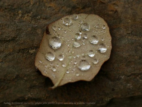 Cliquer pour voir l'image en taille réelle