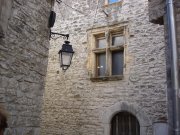 Viols016.jpg