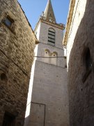 Viols018.jpg