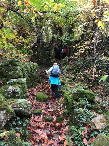 Cliquer pour voir l'image en taille réelle