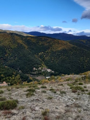 Cliquer pour voir l'image en taille réelle