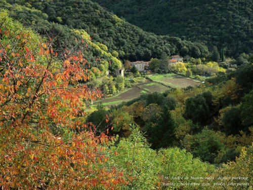 Cliquer pour voir l'image en taille réelle