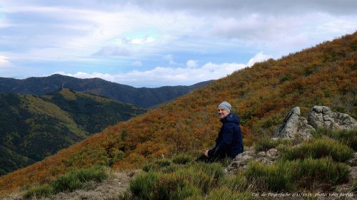 Cliquer pour voir l'image en taille réelle