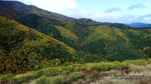 Cliquer pour voir l'image en taille réelle