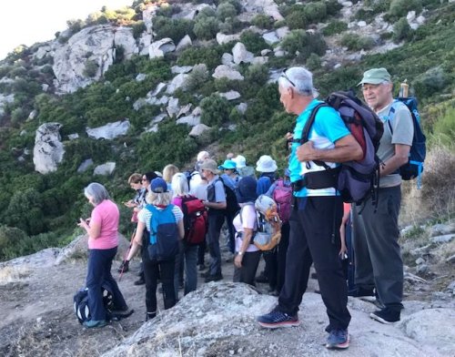 Cliquer pour voir l'image en taille réelle