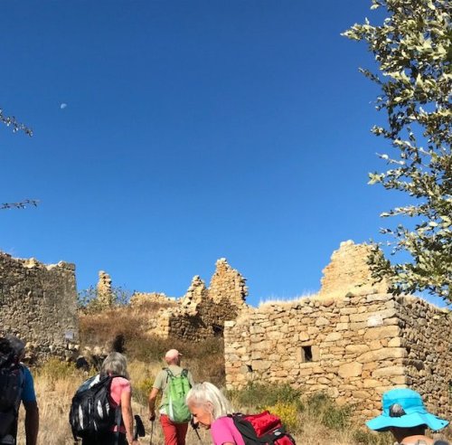 Cliquer pour voir l'image en taille réelle