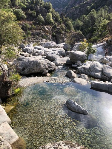 Cliquer pour voir l'image en taille réelle