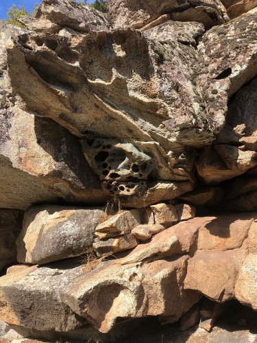 Cliquer pour voir l'image en taille réelle