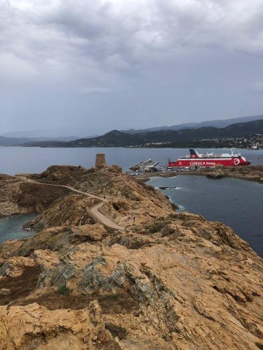 Cliquer pour voir l'image en taille réelle