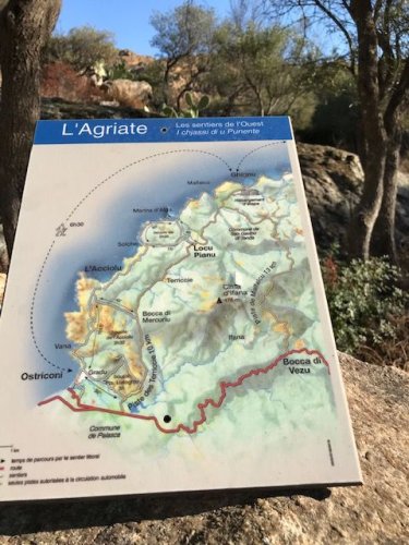 Cliquer pour voir l'image en taille réelle