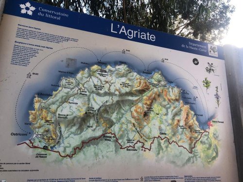 Cliquer pour voir l'image en taille réelle