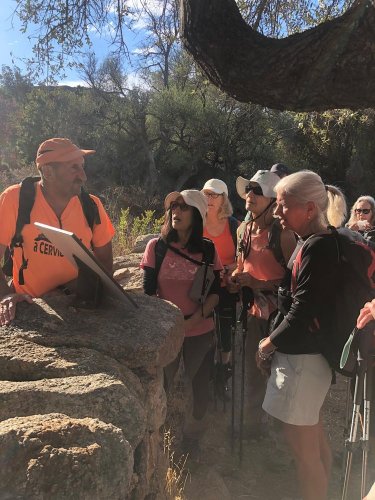 Cliquer pour voir l'image en taille réelle