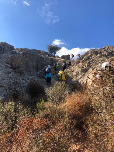 Cliquer pour voir l'image en taille réelle