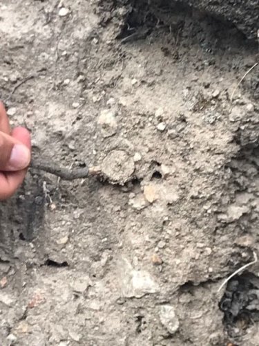 Cliquer pour voir l'image en taille réelle