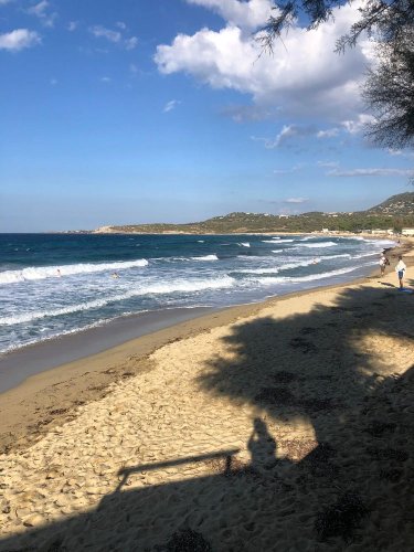 Cliquer pour voir l'image en taille réelle