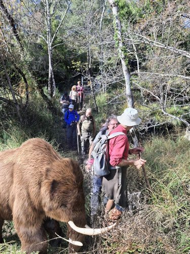 Cliquer pour voir l'image en taille réelle