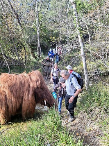 Cliquer pour voir l'image en taille réelle