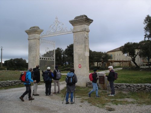 Cliquer pour voir l'image en taille réelle