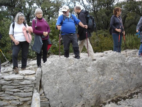 Cliquer pour voir l'image en taille réelle