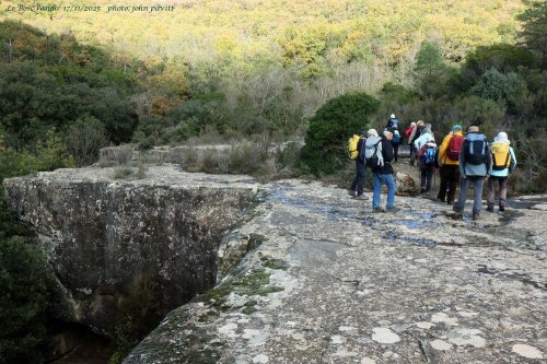 Cliquer pour voir l'image en taille réelle