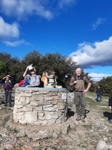 Cliquer pour voir l'image en taille réelle