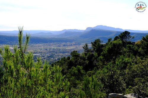 Cliquer pour voir l'image en taille réelle