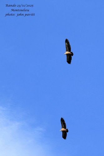 Cliquer pour voir l'image en taille réelle