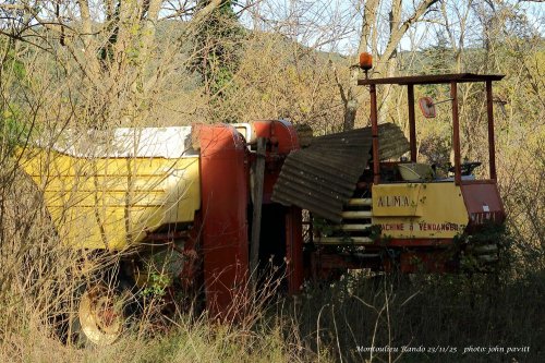 Cliquer pour voir l'image en taille réelle